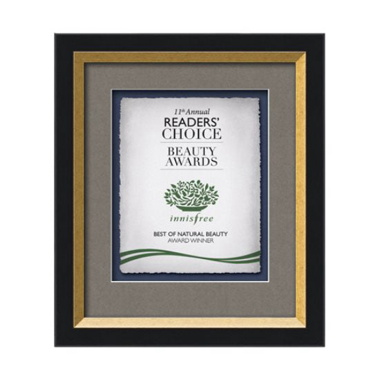 Omni Artisan Paper Certificate Framed Award