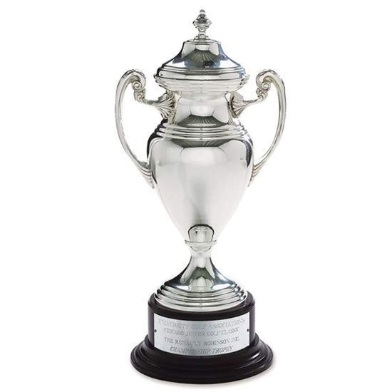 Silver Cup Award