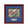 Raven VividPrint Metal Framed Award