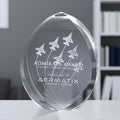 Blaisdale Award 9-1/4"