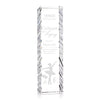 Arezzo Award