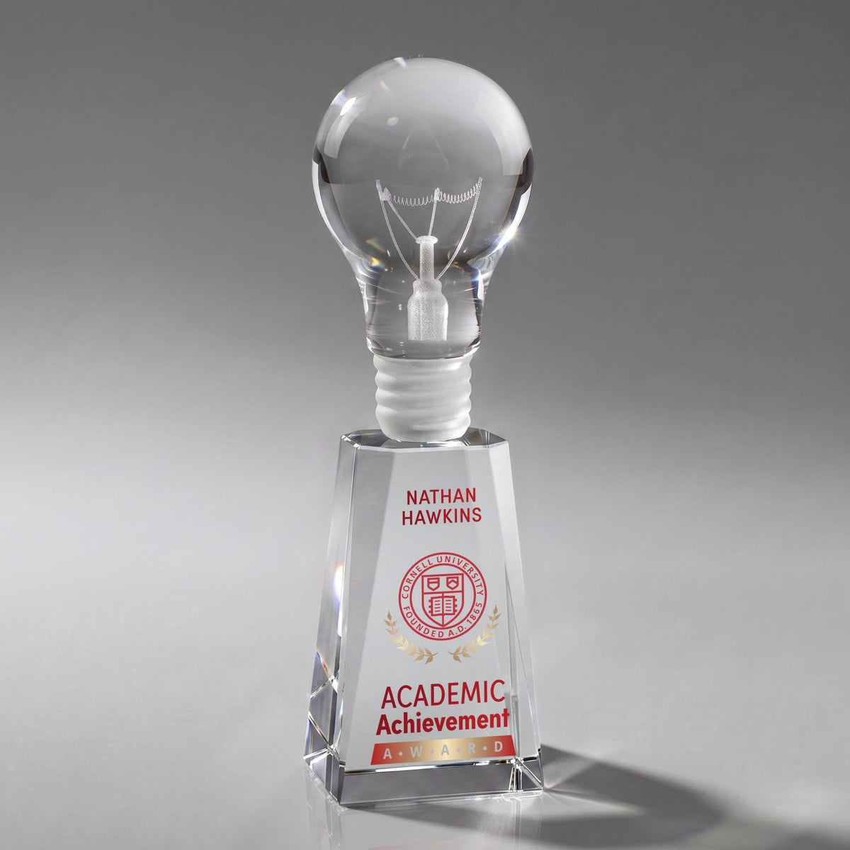 Light Bulb VividPrint™ Award on Cairns