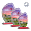 Wichita VividPrint™ Award