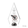 Apex Hemisphere VividPrint™ Award