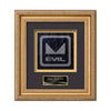 Regal Framed Award