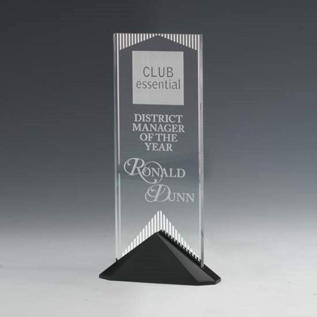 Reflections Mirror Acrylic Award