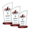 Tomkins VividPrint™ Award