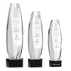Hoover Award on Paragon Base