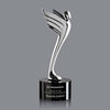 Meteor Award