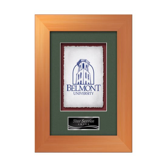 Premier VividPrint Artisan Paper Framed Award