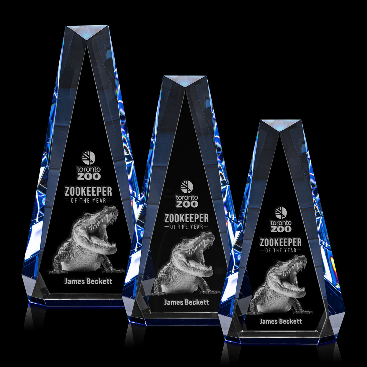 Carmel 3D Award - Blue