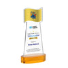 Flag VividPrint™ Award on Alberton Base