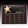 Rising Star Perpetual Plaque
