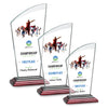 Tomkins VividPrint™ Award