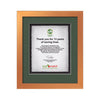 Eldridge Artisan Paper Certificate Framed Award