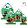 Royal Diamond VividPrint™ Award