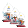 Nestor Flame VividPrint™ Award
