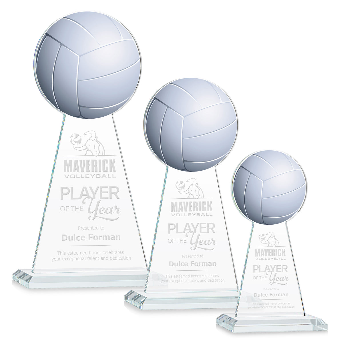 Edenwood Volleyball Award