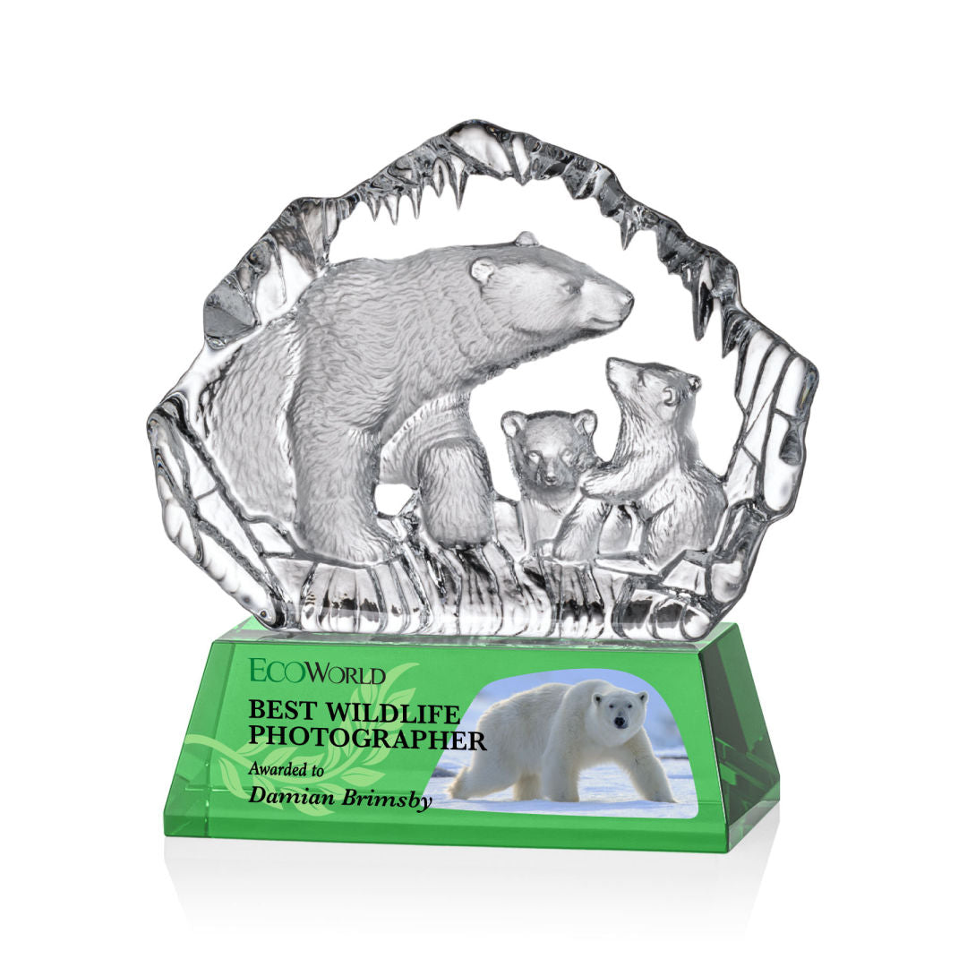 Ottavia Polar Bears VividPrint™ Award