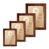 Etch & Frosted Plaque — Style and Size