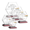 Barnett VividPrint™ Award