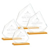 Lexus Award