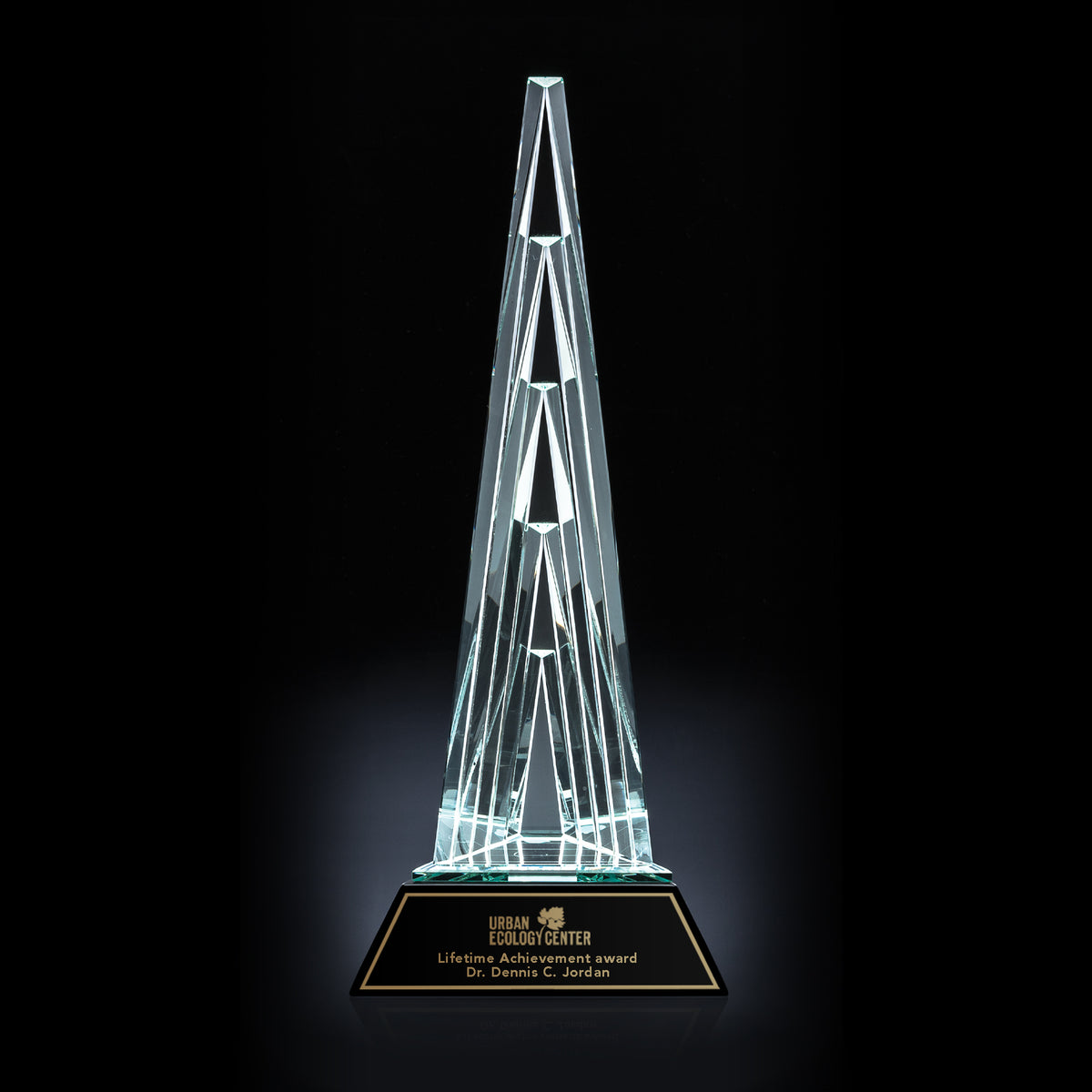 Quinery Tower Award