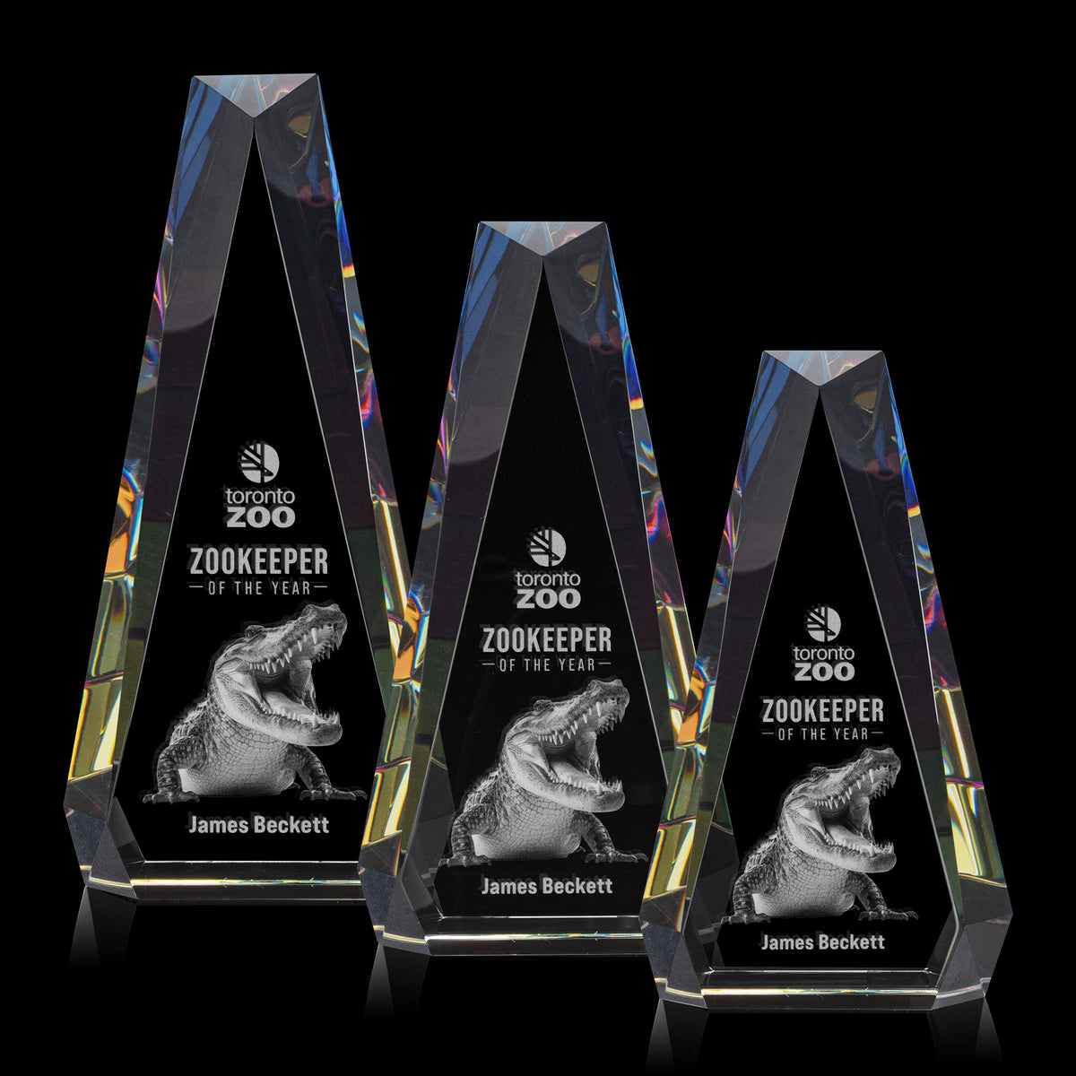 Carmel 3D Award