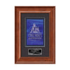 Calder Framed Award