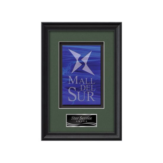 Raven Framed Award