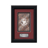 Myriad VividPrint Metal Framed Award