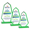 Pearson VividPrint™ Award