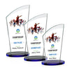 Tomkins VividPrint™ Award