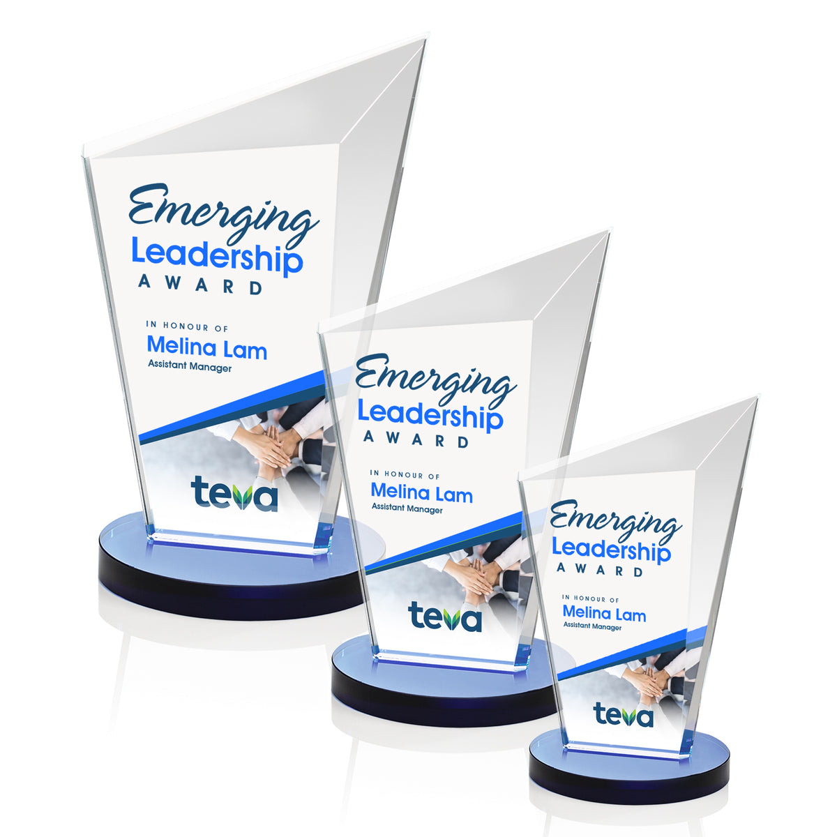 Wiltshire VividPrint™ Award - Blue