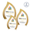 Tidworth Blaze VividPrint™ Award