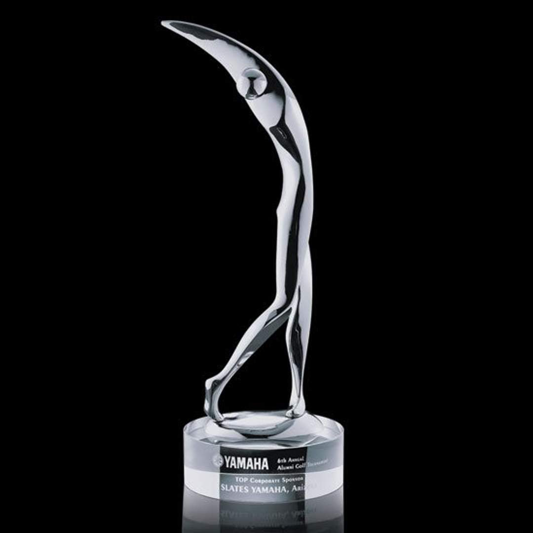 Stoke Golfer Award
