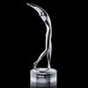 Stoke Golfer Award