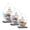 Nestor Flame VividPrint™ Award