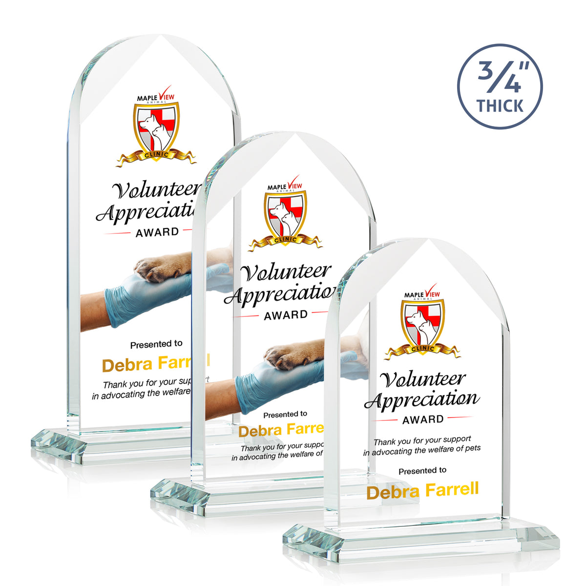 Blake Vividprint™ Award