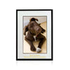 Grove Chipboard Photo Frame — Color and Size