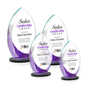 Windermere VividPrint™ Award
