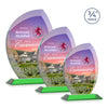 Wichita VividPrint™ Award