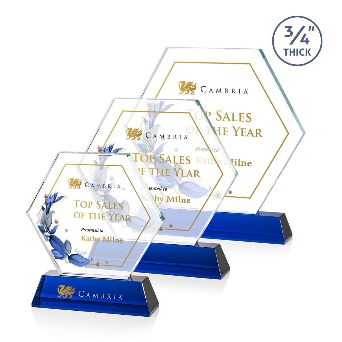  Ralston VividPrint™ Award - Blue