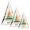 Rochester VividPrint™ Award