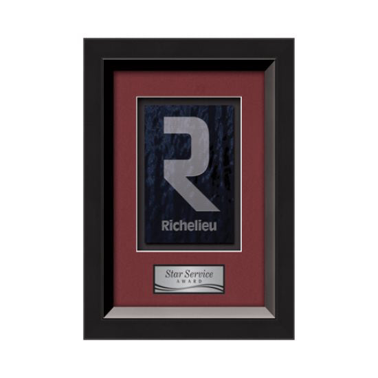 Omni Framed Award