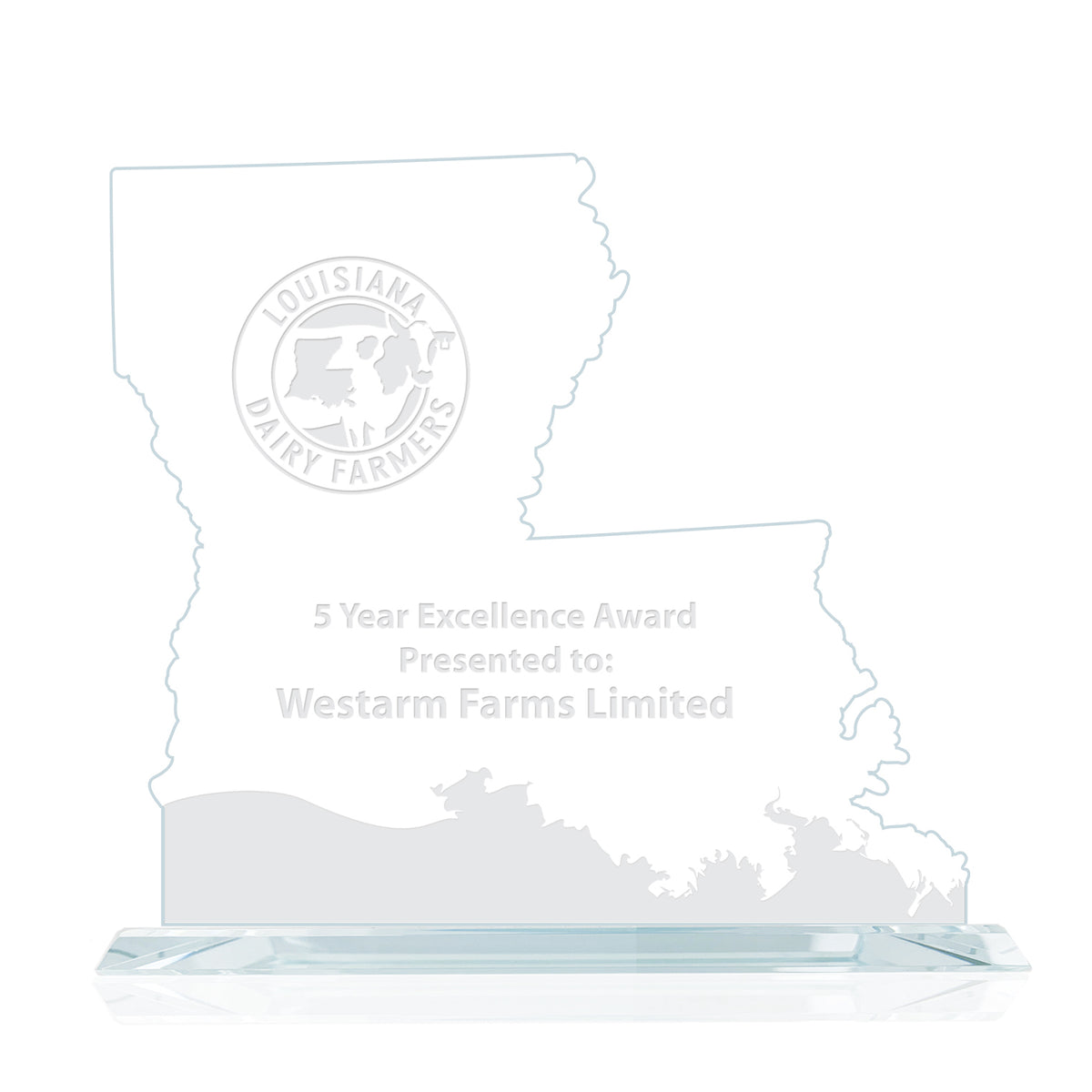 State Map Award -  Louisiana