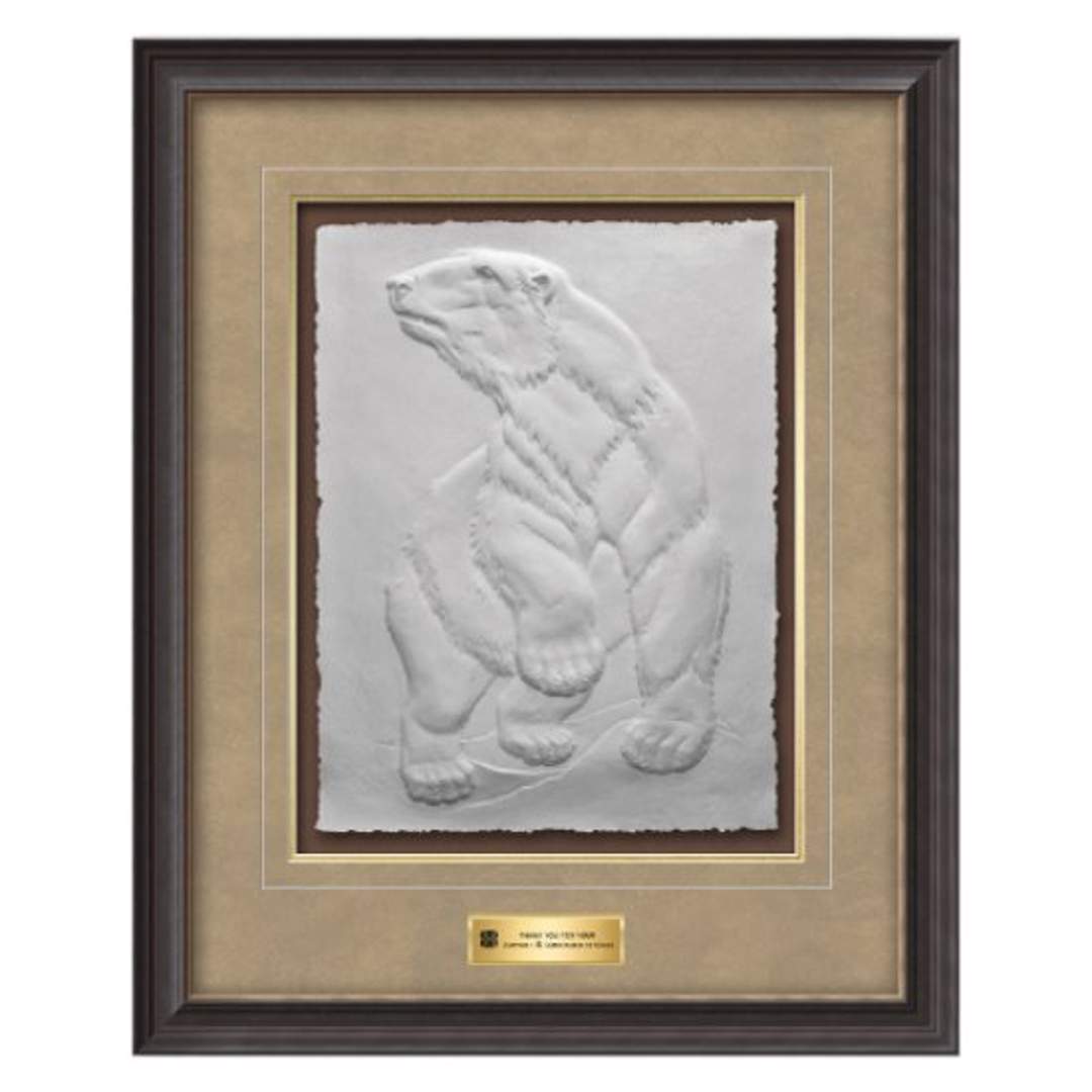 Arctic Chill Framed Award