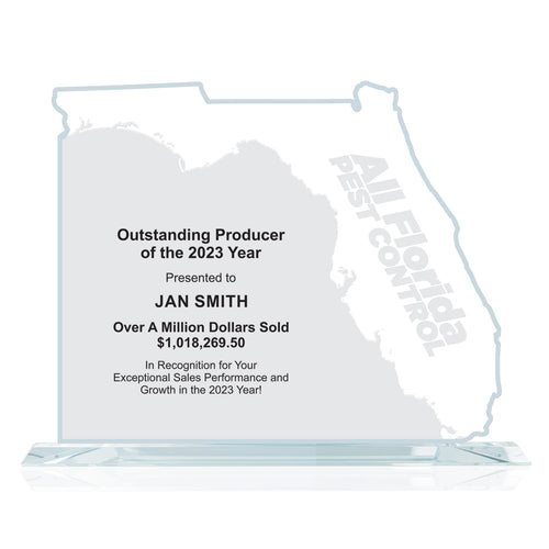 State Map Award -  Florida