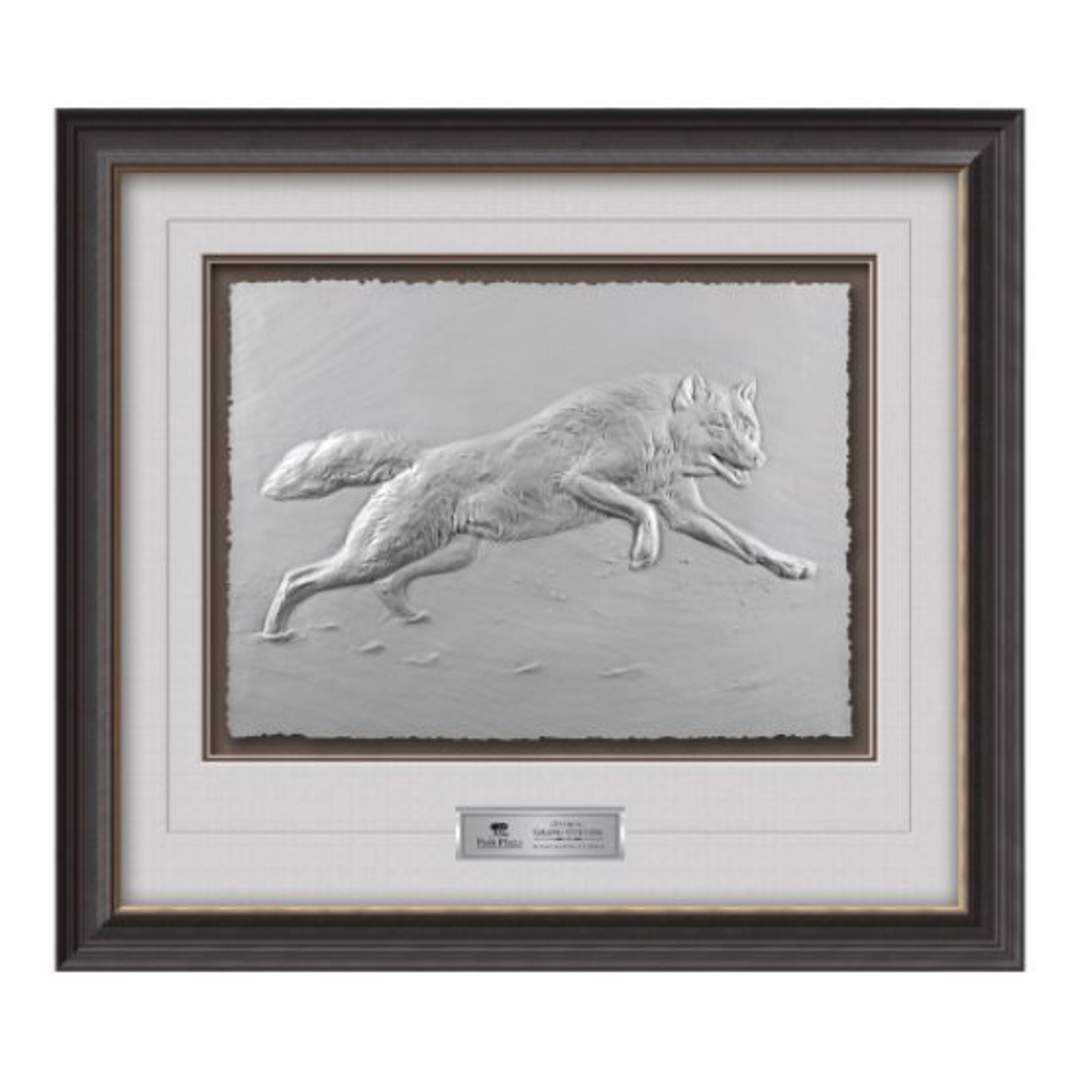 White Shadow Framed Award