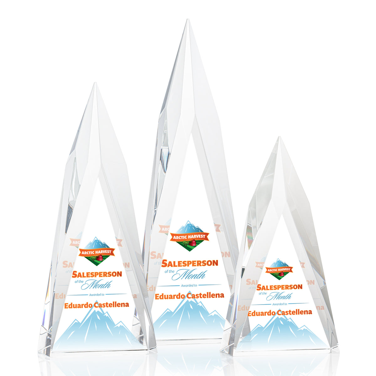 Salisbury VividPrint™ Award